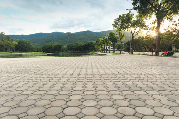 Best Driveway Paver Sealing  in Greer, SC