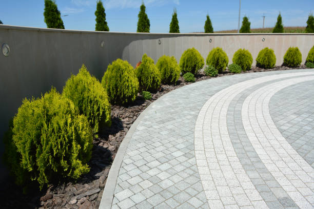 Best Brick Driveway Pavers  in Greer, SC